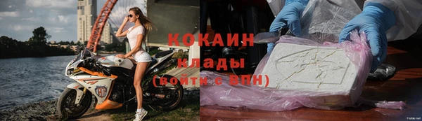 бошки Няндома