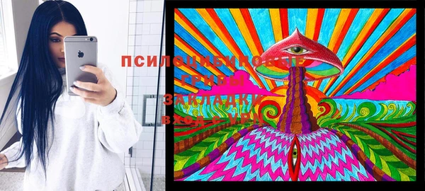 бошки Няндома