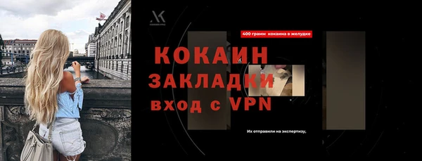 бошки Няндома