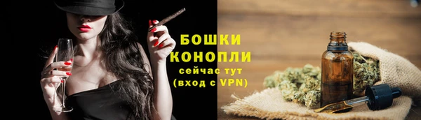 бошки Няндома