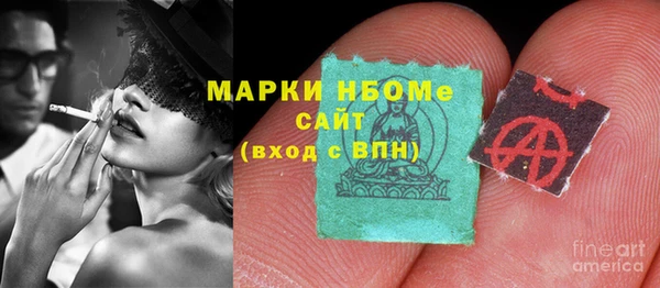 бошки Няндома