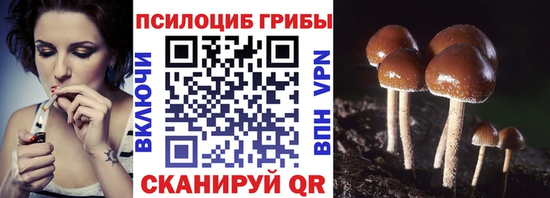 Галлюциногенные грибы Magic Shrooms  Купить закладки  Мончегорск 