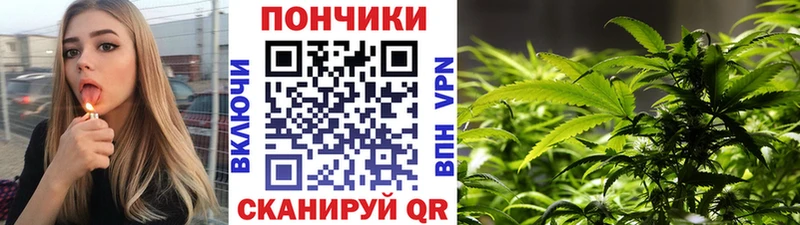 Бошки Шишки марихуана  Купить где  Мончегорск 